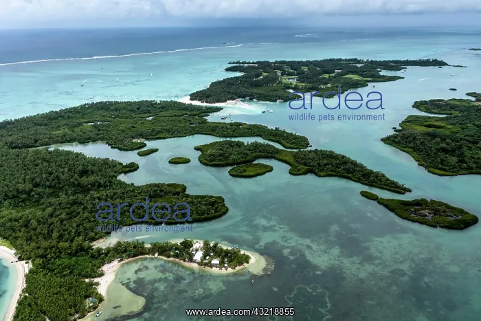 : Aerial view, bay at Grand Port, il aux Cerfs with : Aerial view, bay at Grand Port, il aux Cerfs with
