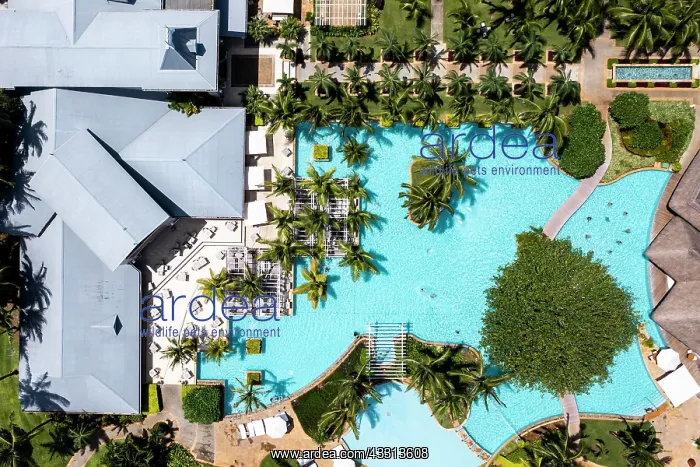 : Aerial view The beach of Flic en Flac with luxury : Aerial view The beach of Flic en Flac with luxury
