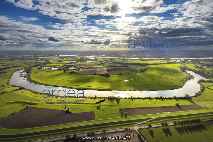 : Aerial view, Bienen Old Rhine backlit : Aerial view, Bienen Old Rhine backlit