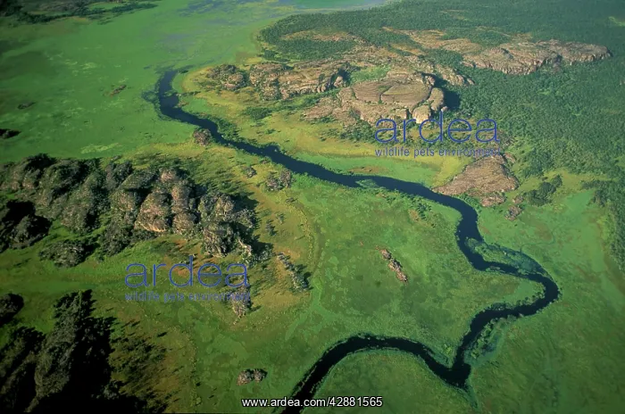 : Aerial view - Billabong & limestone outcrops : Aerial view - Billabong & limestone outcrops