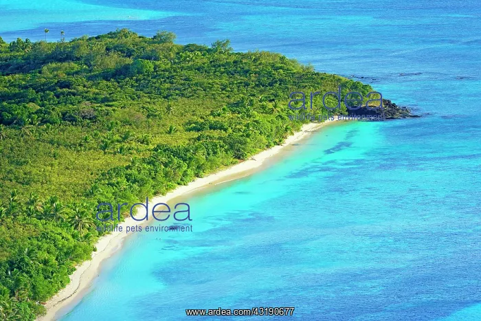 : Aerial view Blue Lagoon Beach, Nacula island, Yasawa : Aerial view Blue Lagoon Beach, Nacula island, Yasawa