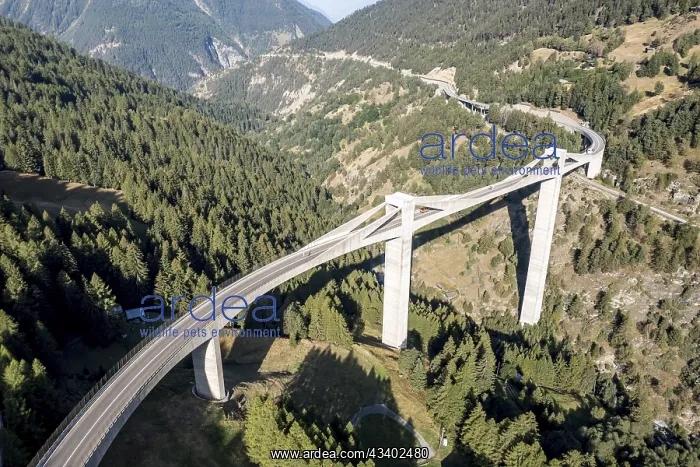 : Aerial view of bridge Ganterbruecke, Ganter bridge : Aerial view of bridge Ganterbruecke, Ganter bridge