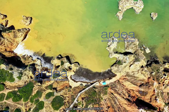 : Aerial view of Camilo Beach, Ponta da Piedade, Lagos : Aerial view of Camilo Beach, Ponta da Piedade, Lagos