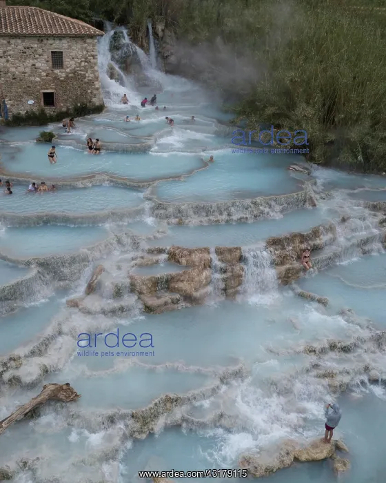 : Aerial view, cascades, natural thermal baths Saturnia : Aerial view, cascades, natural thermal baths Saturnia