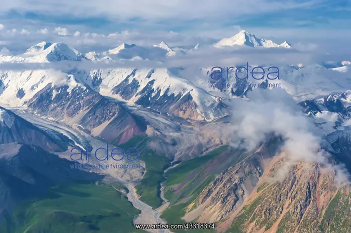  : Aerial view over the Central Tian Shan Mountain