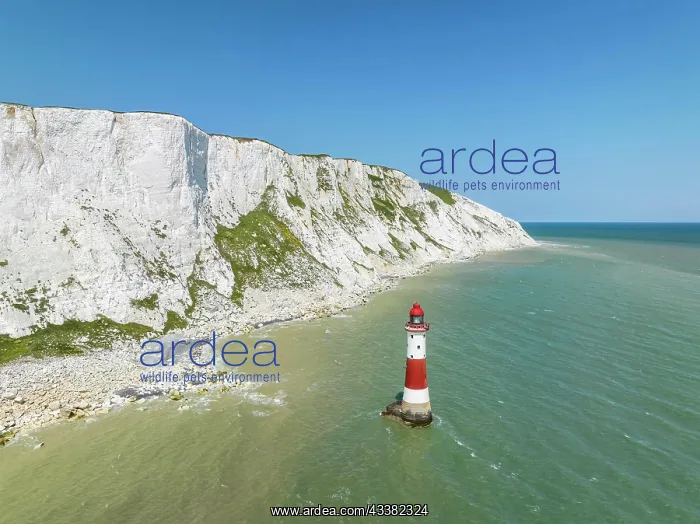 : Aerial view of the chalk cliffs with Beachy Head : Aerial view of the chalk cliffs with Beachy Head