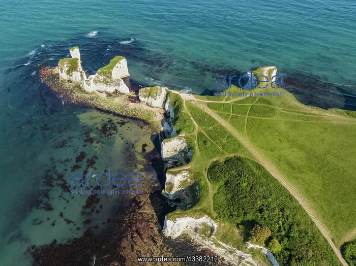 : Aerial view of the chalk coast Old Harry Rocks : Aerial view of the chalk coast Old Harry Rocks