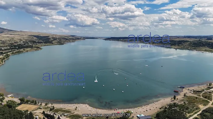 : Aerial view of the Chronicle of Georgia with the Tbilisi Sea in the background : Aerial view of the Chronicle of Georgia with the Tbilisi Sea in the background
