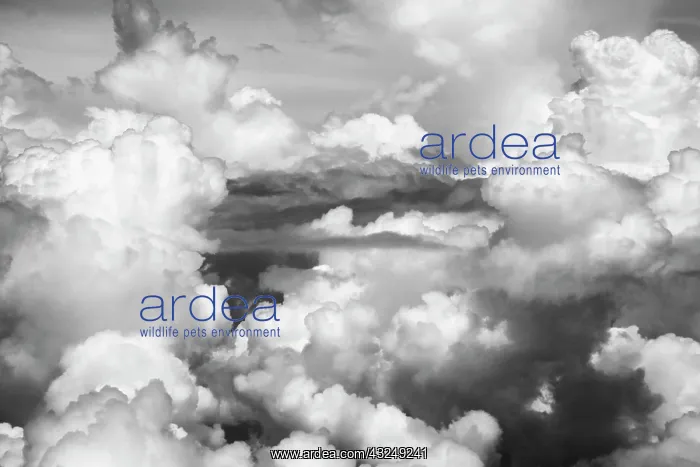 : Aerial view of clouds, China : Aerial view of clouds, China