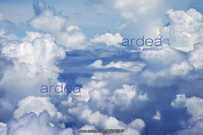 : Aerial view of clouds, China : Aerial view of clouds, China