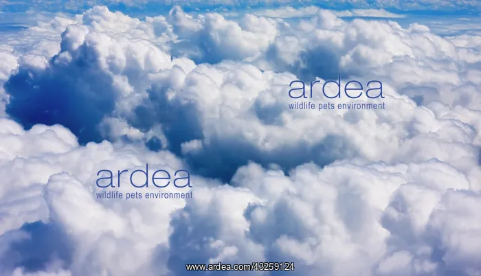 : Aerial view of clouds, Philippines : Aerial view of clouds, Philippines