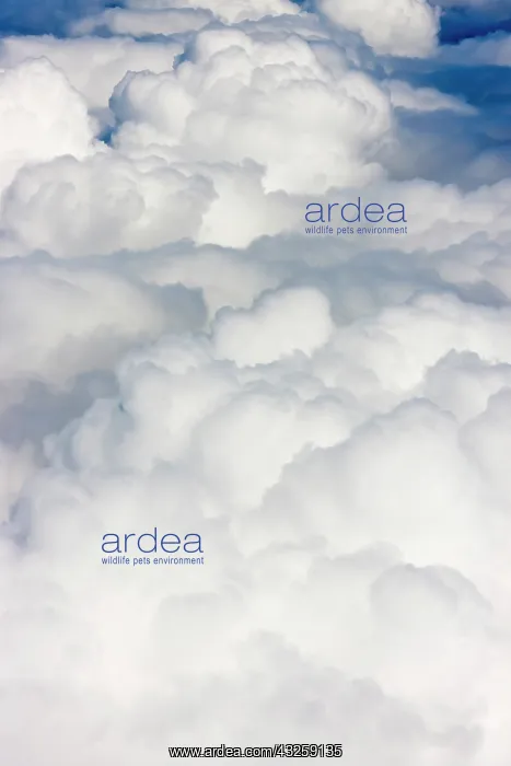 : Aerial view of clouds, Philippines : Aerial view of clouds, Philippines