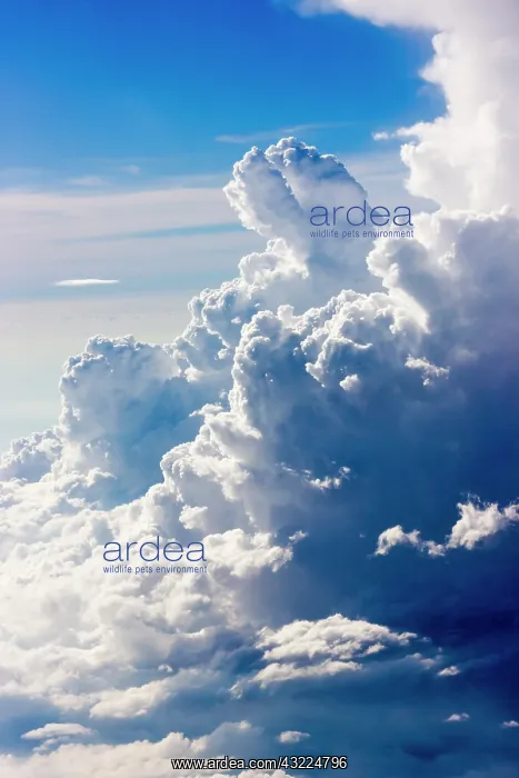 : Aerial view of clouds in the sky, Philippines : Aerial view of clouds in the sky, Philippines