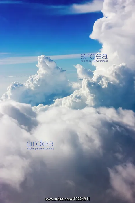: Aerial view of clouds in the sky, Philippines : Aerial view of clouds in the sky, Philippines