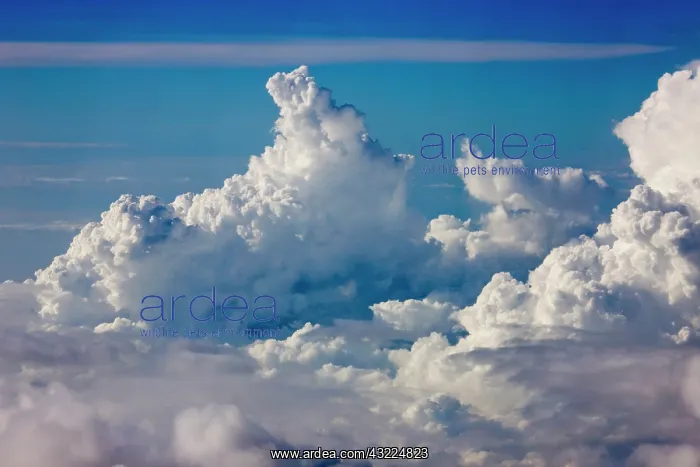 : Aerial view of clouds in the sky, Philippines : Aerial view of clouds in the sky, Philippines