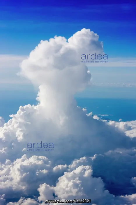 : Aerial view of clouds in the sky, Philippines : Aerial view of clouds in the sky, Philippines