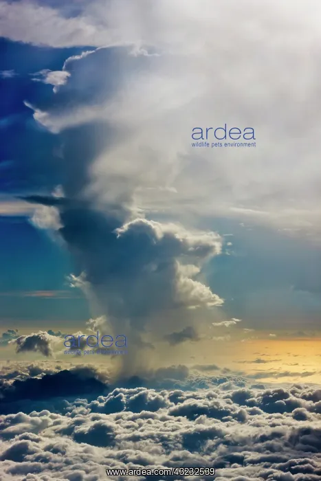 : Aerial view of clouds in the sky, Philippines : Aerial view of clouds in the sky, Philippines