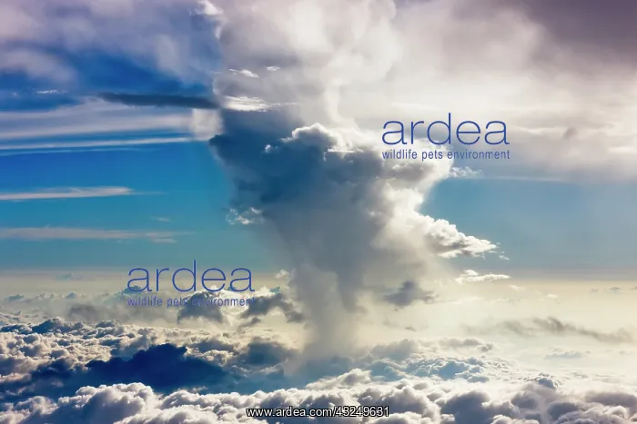 : Aerial view of clouds in the sky, Philippines : Aerial view of clouds in the sky, Philippines