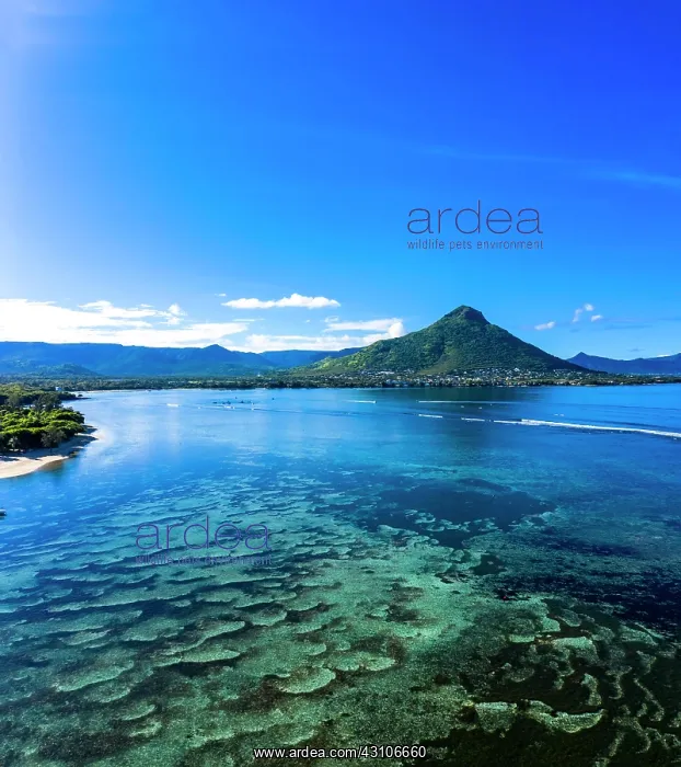 : Aerial view, coast with clear water, behind the : Aerial view, coast with clear water, behind the