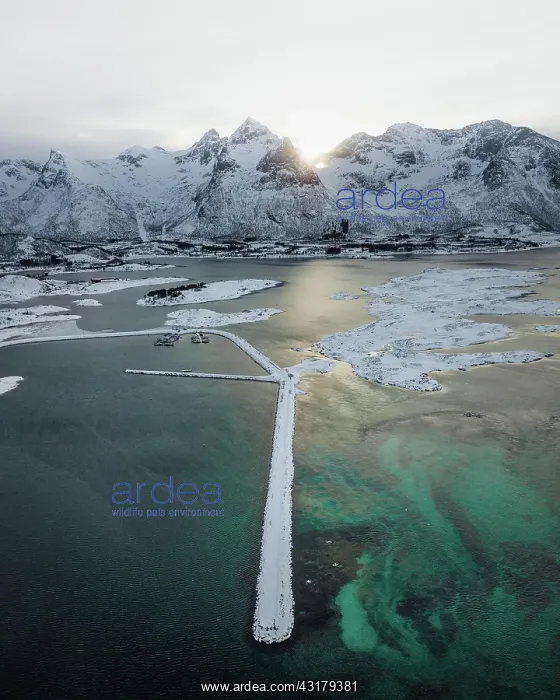 : Aerial view, coastal landscape in winter, Gimsoy : Aerial view, coastal landscape in winter, Gimsoy