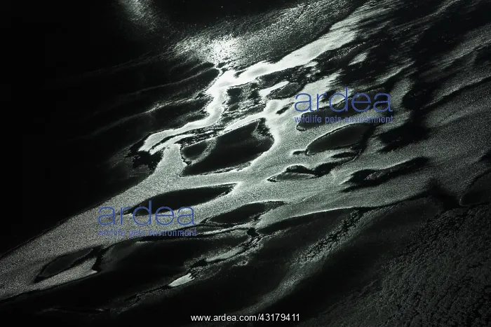 : Aerial view of coastline of Katmai Peninsula waterways : Aerial view of coastline of Katmai Peninsula waterways