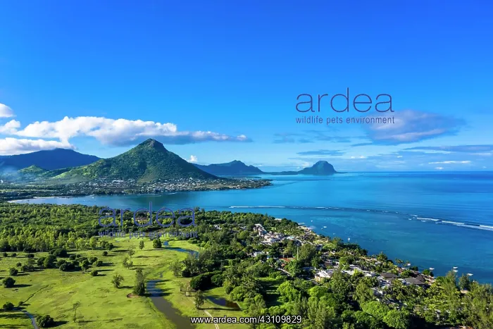 : Aerial view, coastline, behind the mountain Tourelle : Aerial view, coastline, behind the mountain Tourelle