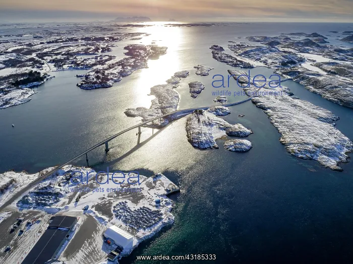 : Aerial view, country road with bridge over the sea : Aerial view, country road with bridge over the sea