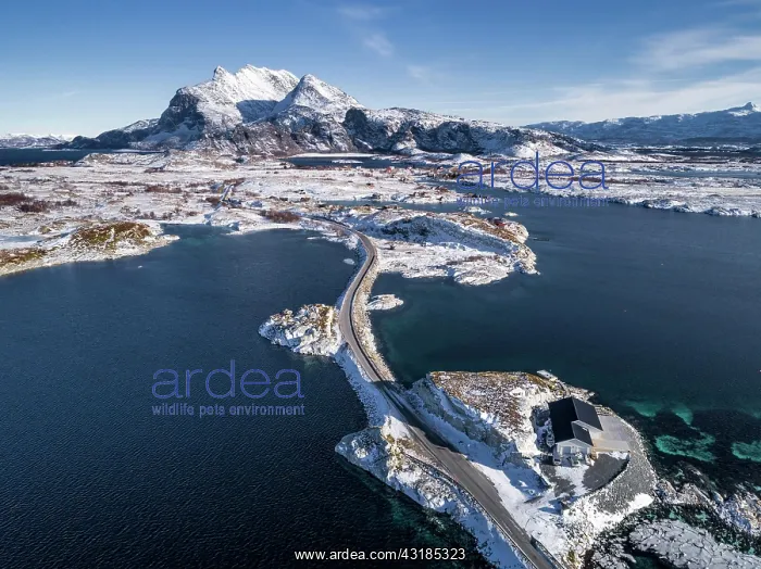 : Aerial view, country road through the sea connects : Aerial view, country road through the sea connects
