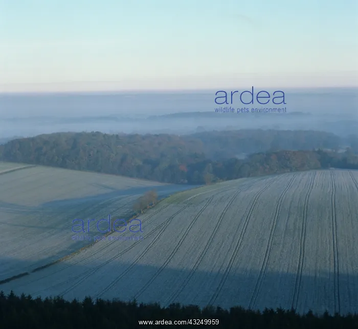 : Aerial view of crops in frost, Berkshire, UK : Aerial view of crops in frost, Berkshire, UK