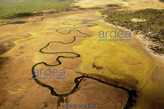 : Aerial view, Cubango river meanders through grass : Aerial view, Cubango river meanders through grass