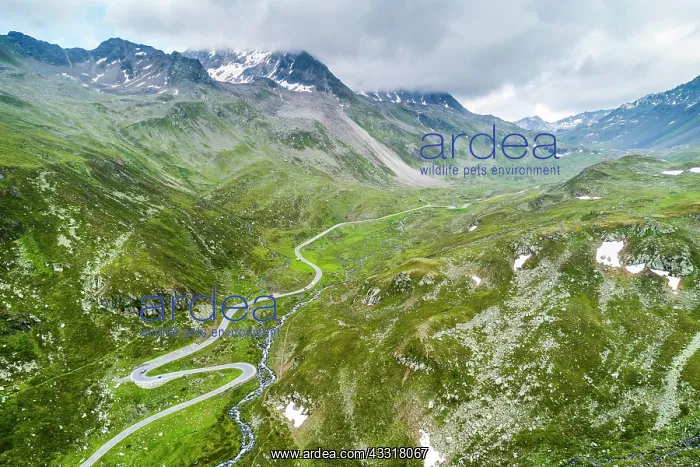 : Aerial view, curvy mountain pass road Fl&, x25b21c21;ss : Aerial view, curvy mountain pass road Fl&, x25b21c21;ss