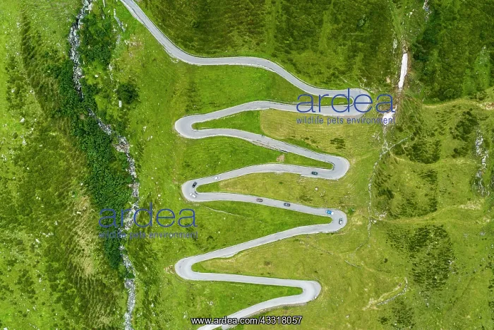 : Aerial view, curvy mountain pass road Spl&, x2796ec21;ss : Aerial view, curvy mountain pass road Spl&, x2796ec21;ss