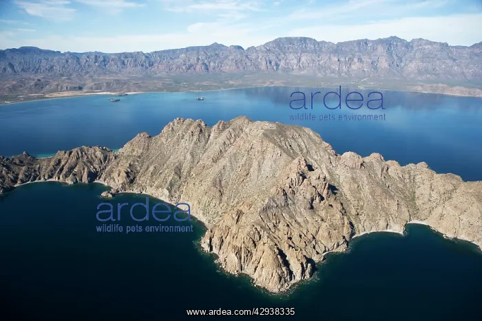 : Aerial view of Danzante Island (foreground) and : Aerial view of Danzante Island (foreground) and