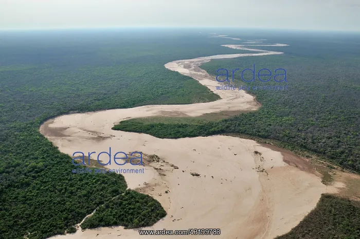  : Aerial view, dried up river bed and the Gran Chaco