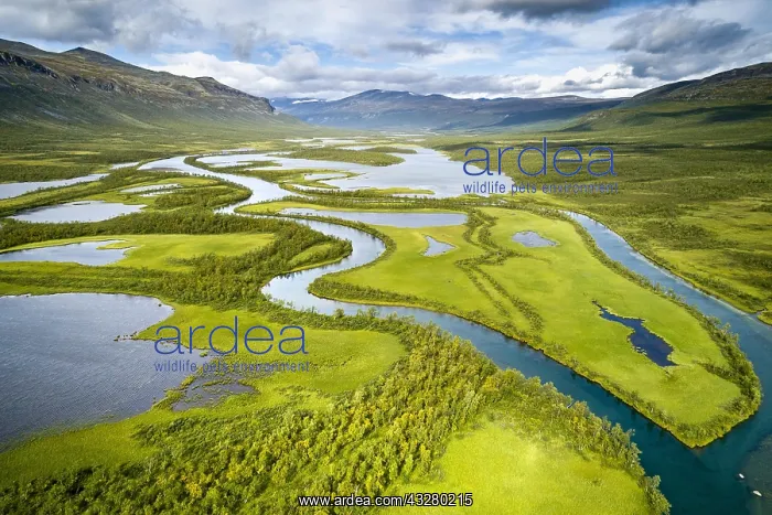 : Aerial view, drone shot, meandering river landscape : Aerial view, drone shot, meandering river landscape