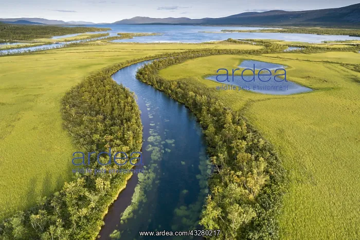  : Aerial view, drone shot, meandering river landscape