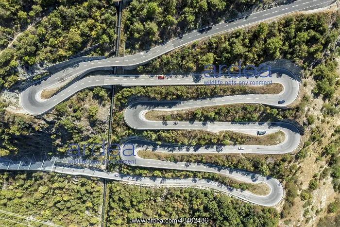 : Aerial view, drone shot, Mountain pass road with : Aerial view, drone shot, Mountain pass road with