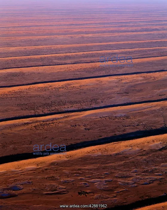 : Aerial view - Dunefields, dunes and interdune corridors : Aerial view - Dunefields, dunes and interdune corridors