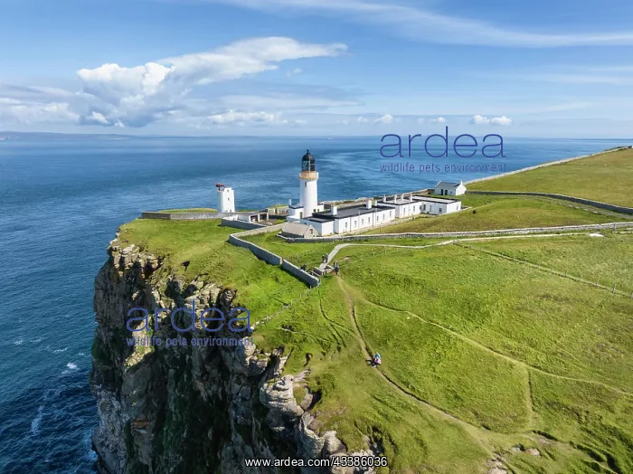 : Aerial view of Dunnet Head with the lighthouse, t : Aerial view of Dunnet Head with the lighthouse, t