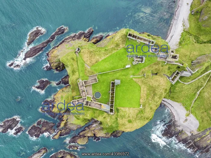 : Aerial view of Dunnottar Castle ruins on the North S : Aerial view of Dunnottar Castle ruins on the North S