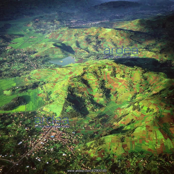 : Aerial view of East Africa: Intensive agriculture in Rwanda : Aerial view of East Africa: Intensive agriculture in Rwanda