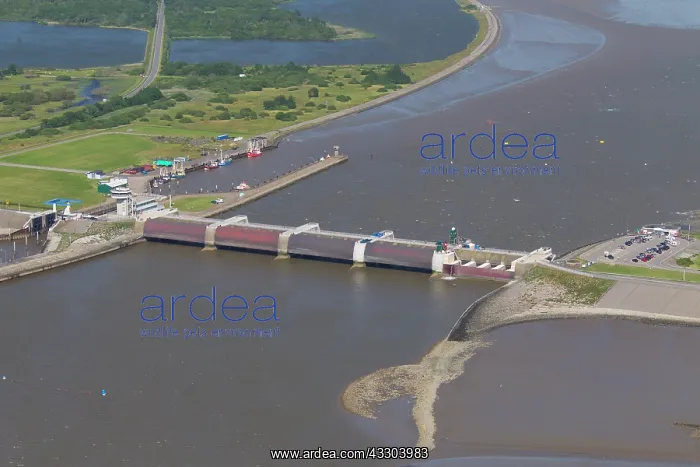 : Aerial view of Eider Barrage at the mouth of the : Aerial view of Eider Barrage at the mouth of the