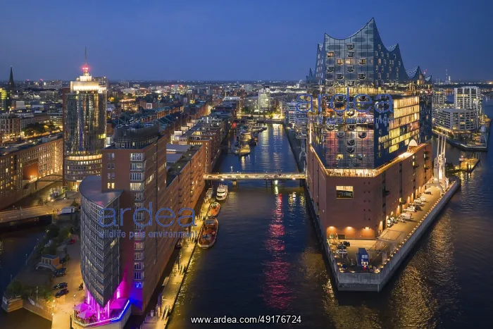 : Aerial view of the Elbphilharmonie at blue hour with illuminated windows and view over the Speicherstadt and Hafencity : Aerial view of the Elbphilharmonie at blue hour with illuminated windows and view over the Speicherstadt and Hafencity