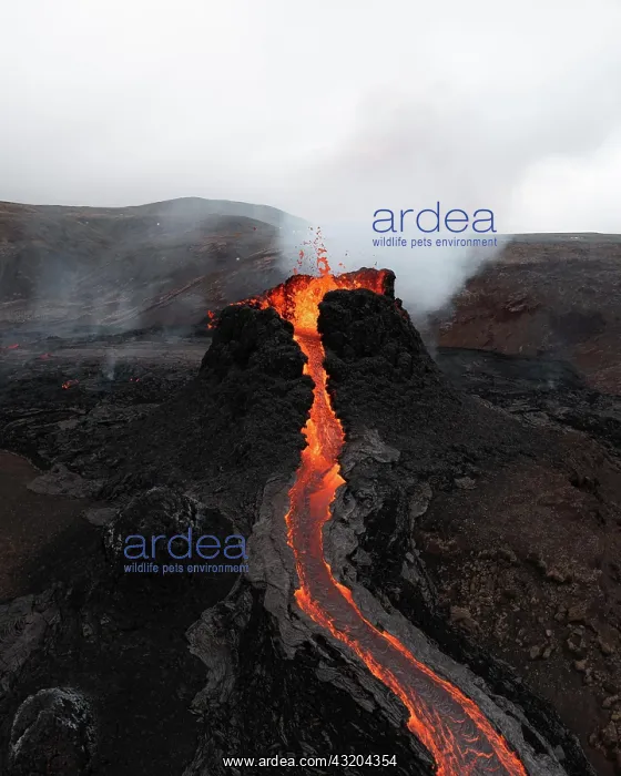 : Aerial view, erupting volcano, crater with erupting : Aerial view, erupting volcano, crater with erupting