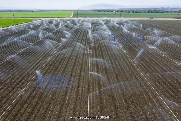 : Aerial view of farmers working in a field gather : Aerial view of farmers working in a field gather