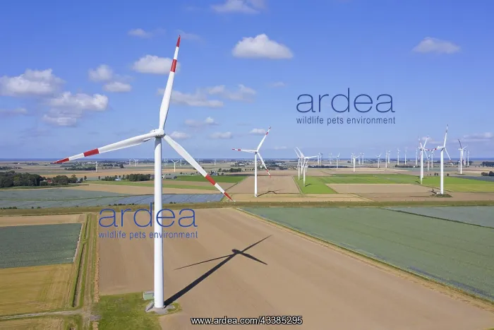 : Aerial view over farmland with wind turbines at : Aerial view over farmland with wind turbines at