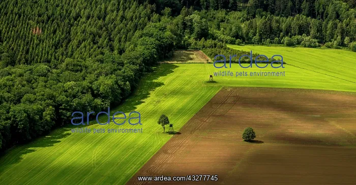 : Aerial view, fields, forest and meadows at the Arnsberg : Aerial view, fields, forest and meadows at the Arnsberg