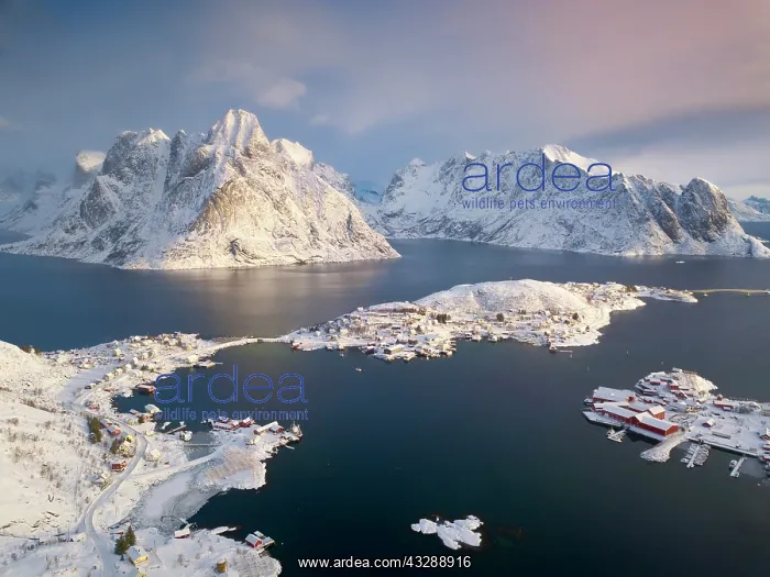 : Aerial view, fishing village Reine in winter at : Aerial view, fishing village Reine in winter at