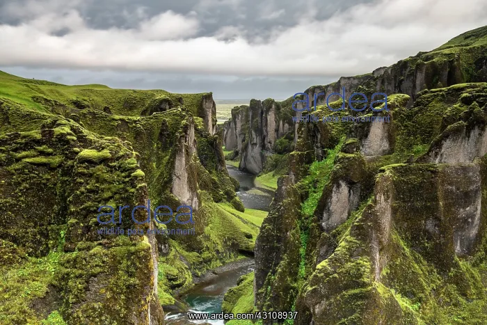 : Aerial view, FjaEr rgljfur Canyon, Fjadrargljufur : Aerial view, FjaEr rgljfur Canyon, Fjadrargljufur