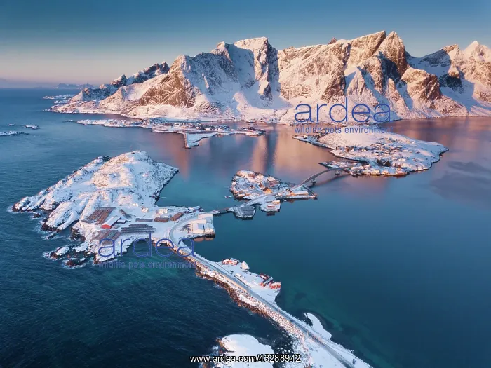 : Aerial view, fjord landscape at sunrise, snowy mountains : Aerial view, fjord landscape at sunrise, snowy mountains